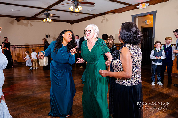 Indigo Falls Wedding Photogrpaher-222
