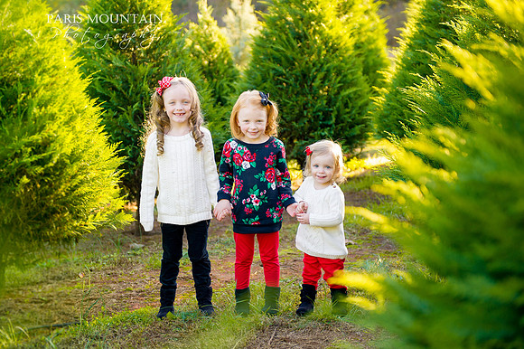 SR Christmas Tree 3