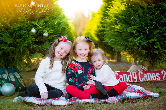 SR Christmas Tree 1