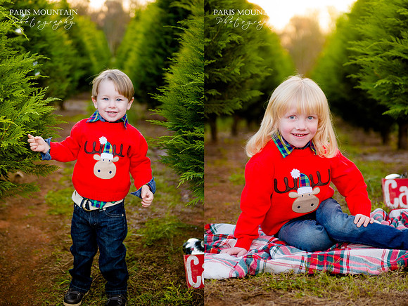 T+J Christmas Tree 2