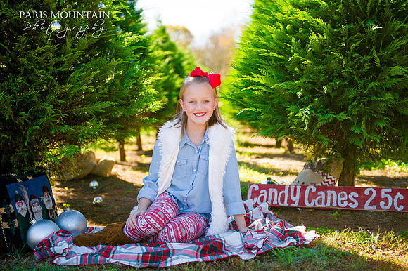 Christmas Tree Farm 6