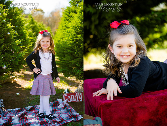 Christmas Tree Farm 3