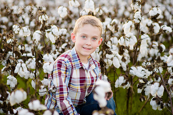 Cotton_Field_Family 3