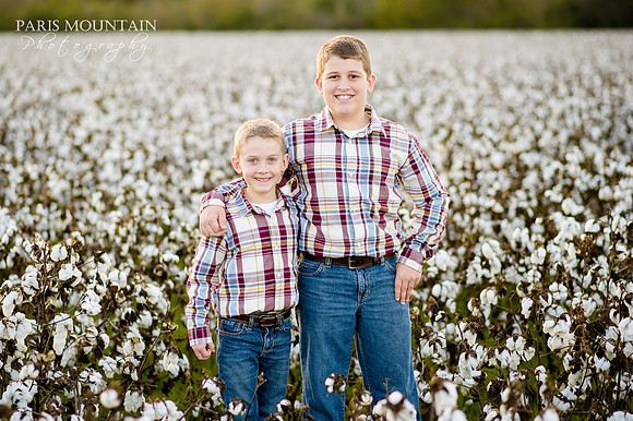 Cotton_Field_Family 7