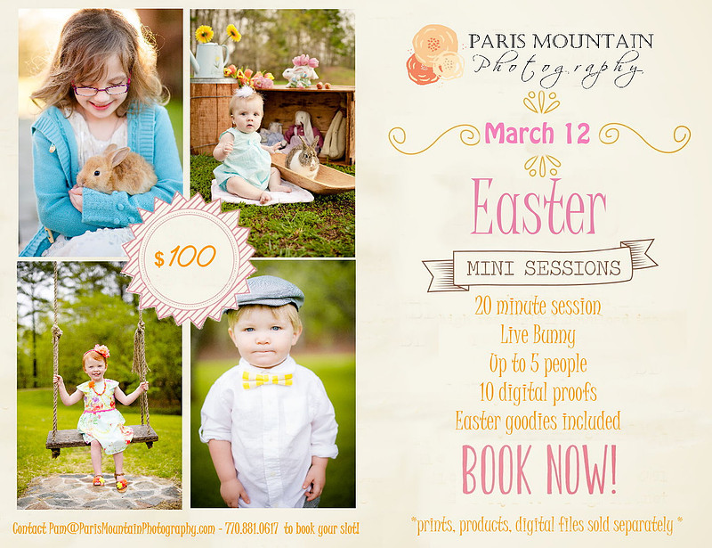 Paris Mountain Photography | Easter / Spring Portrait Mini Sessions