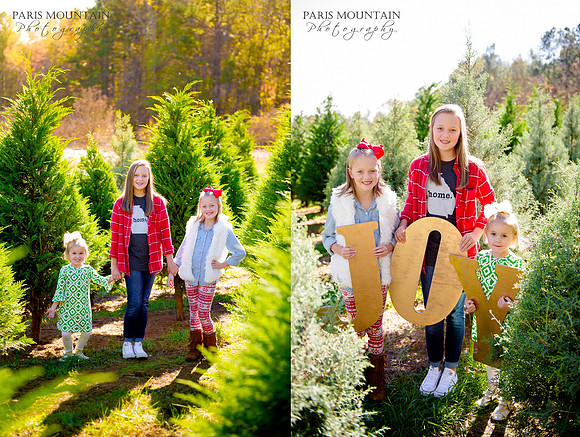 Christmas Tree Farm 2