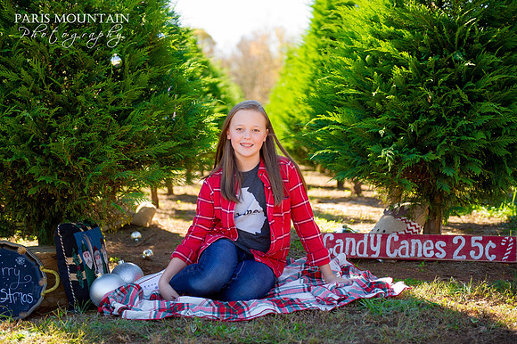 Christmas Tree Farm 5