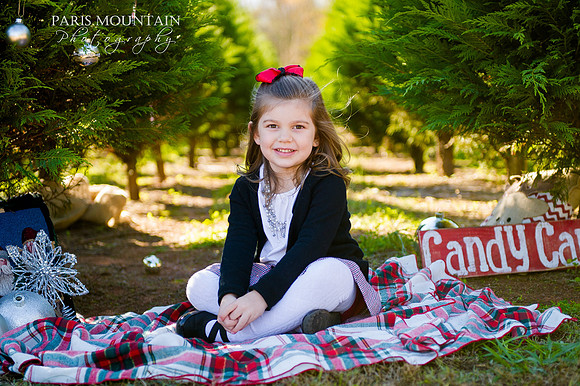 Christmas Tree Farm 5
