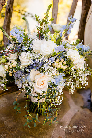Indigo Falls Wedding Photographer-2