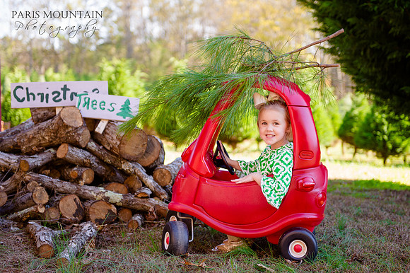 Christmas Tree Farm 1