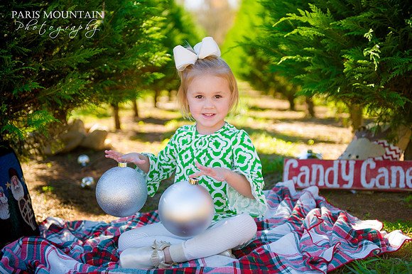 Christmas Tree Farm 3