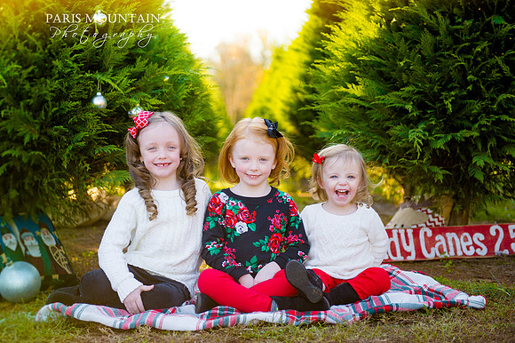SR Christmas Tree 8
