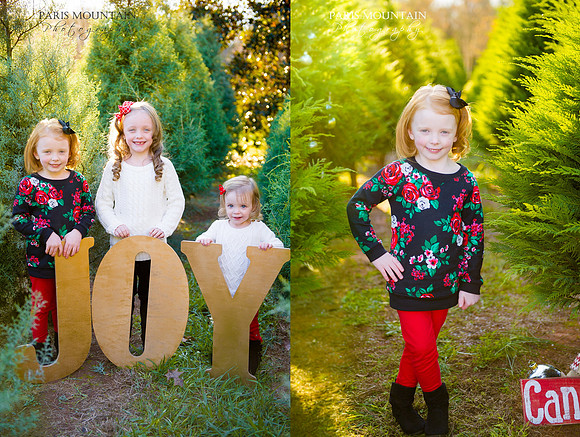 SR Christmas Tree 5