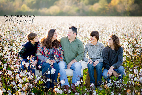 Cotton_Family 4