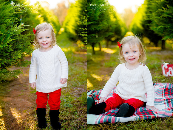 SR Christmas Tree 2