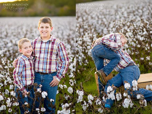 Cotton_Field_Family 4