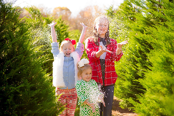 Christmas Tree Farm 7