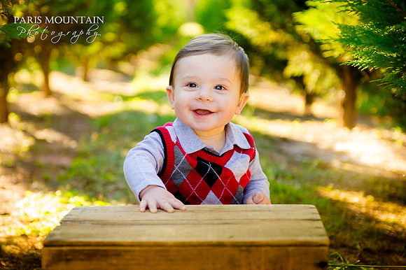 MM Christmas pics 3