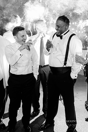 Indigo Falls Wedding Photogrpaher-226
