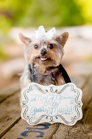 Rocky's Lake Estate Engagement-2