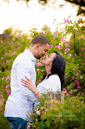 Barnsley Gardens Engagement 26