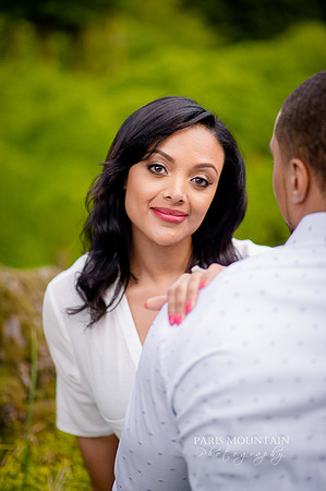 Barnsley Gardens Engagement 22