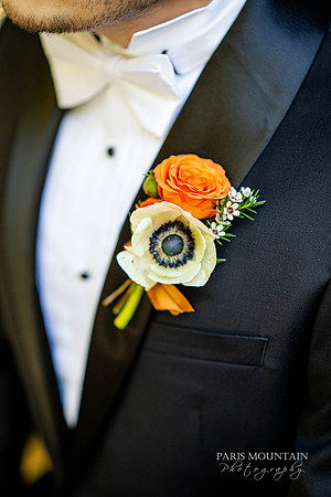 Indigo Falls Wedding Photogrpaher-69
