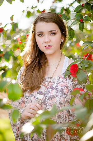 CS (16 of 32)
