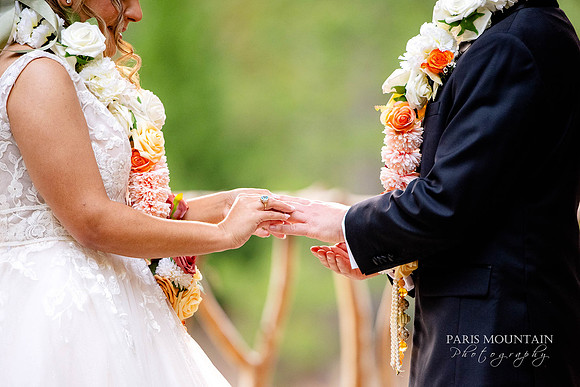 Indigo Falls Wedding Photogrpaher-143