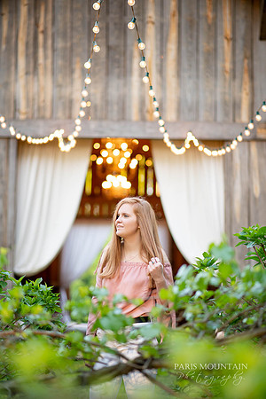 Haralson County Senior Portrait Photographer-7