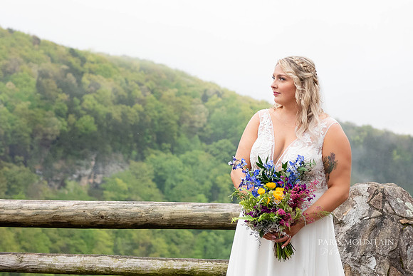 Cloudland Canyon Wedding Elope Photographer-27