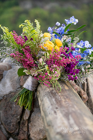 Cloudland Canyon Wedding Elope Photographer-29