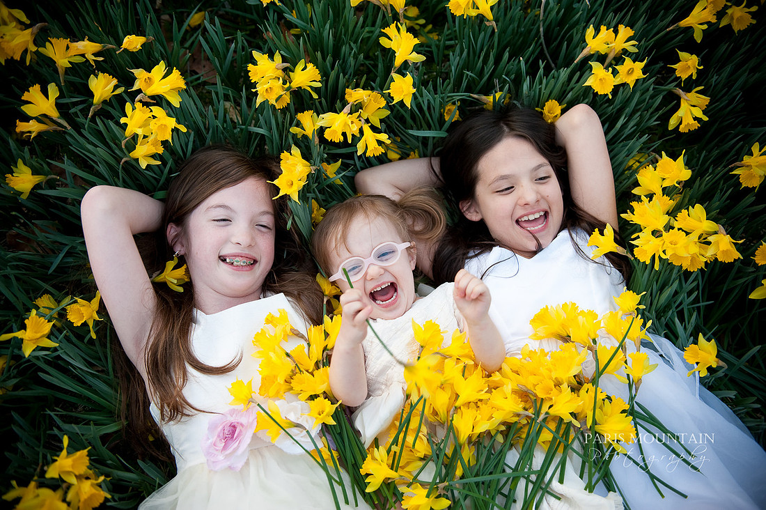 Yellow-2