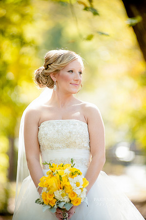 Yellow-11