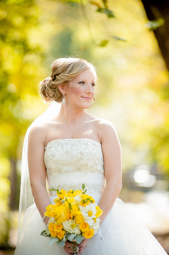 Yellow-11