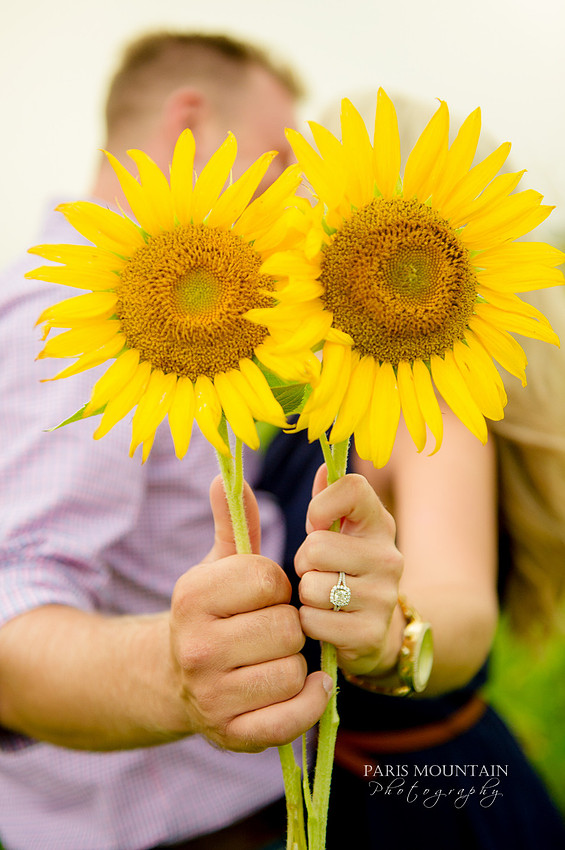 Yellow-20