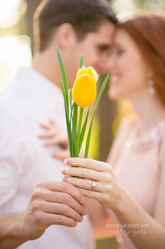 Yellow-28
