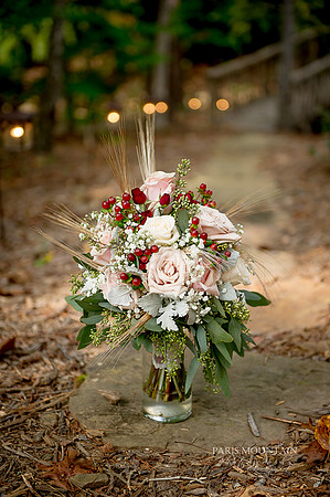 Indigo Falls Wedding-3