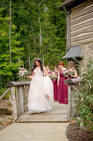 Indigo Falls Wedding-12