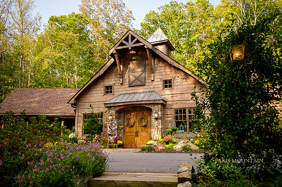 Indigo Falls Wedding-37