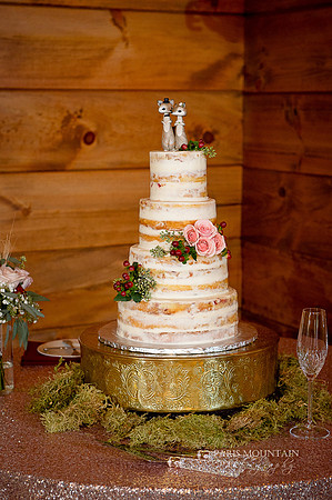 Indigo Falls Wedding-41