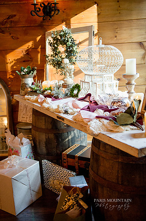 Indigo Falls Wedding-43