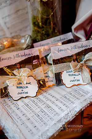Indigo Falls Wedding-44