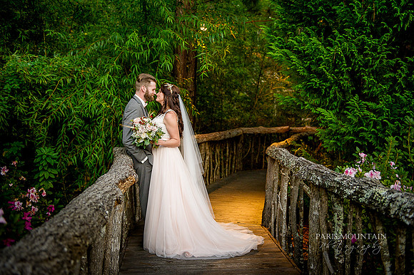 Indigo Falls Wedding-71