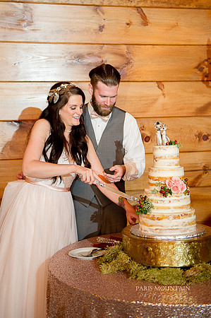 Indigo Falls Wedding-89