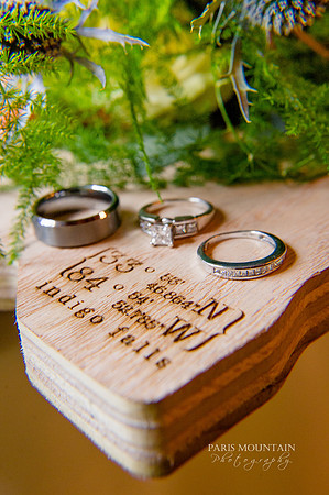 Indigo Falls Wedding-6