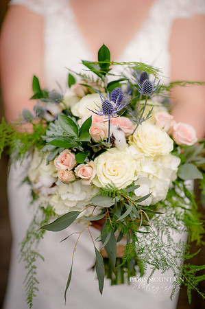 Indigo Falls Wedding-20
