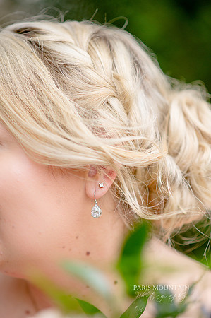 Indigo Falls Wedding-21