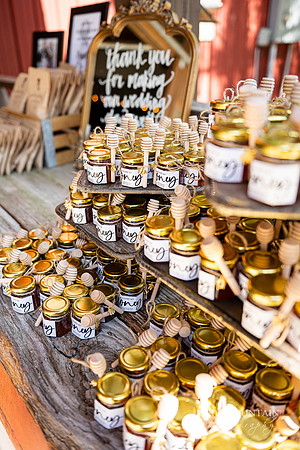 Muse Farm Wedding Photographer-12