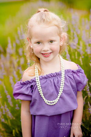 Lavendar Field-1